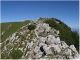 Zadnji travnik - Govca (Olševa)